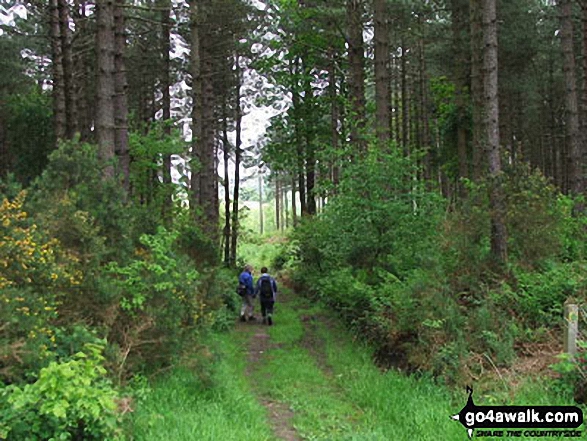 My friends Heather and Chris on Holt Country Park in  Norfolk England