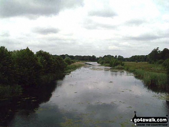 West Stow Country Park, Suffolk 