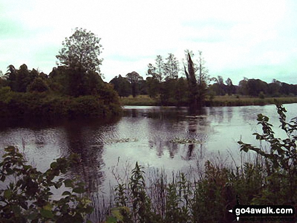 West Stow Country Park, Suffolk 