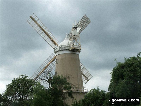 Denver Windmill 