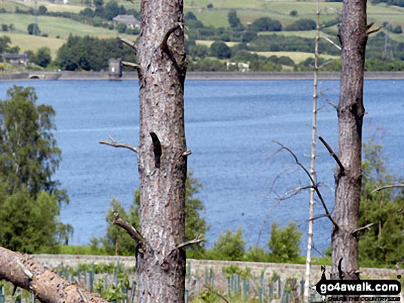 Walk sy108 Langsett Reservoir from Langsett Barn - Langsett Reservoir