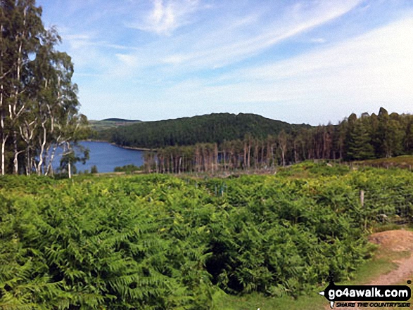 Walk sy108 Langsett Reservoir from Langsett Barn - Langsett Reservoir