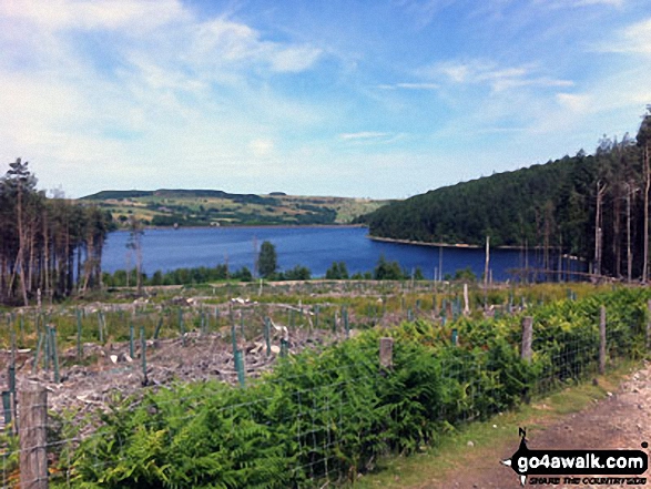 Walk sy108 Langsett Reservoir from Langsett Barn - Langsett Reservoir