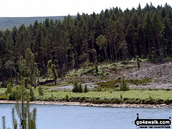 Walk sy108 Langsett Reservoir from Langsett Barn - Langsett Reservoir