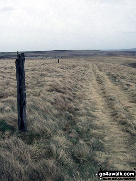 Walk sy125 Dead Edge End, Britland Edge Hill and Snailsden from Winscar Reservoir, Dunford Bridge - On Snailsden