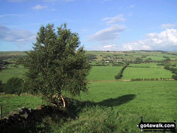 Walk s100 Morridge, Moor Top and Lowe Hill from Leek - Fields near Morridge Side