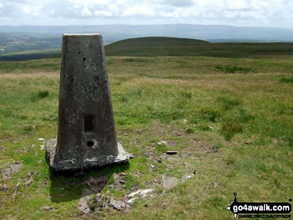 Walk po124 Fan Nedd and Fan Gyhirych from Maen Llia - Fan Nedd summit trig point