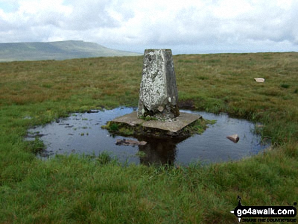 Walk po124 Fan Nedd and Fan Gyhirych from Maen Llia - Fan Gyhirych summit trig point