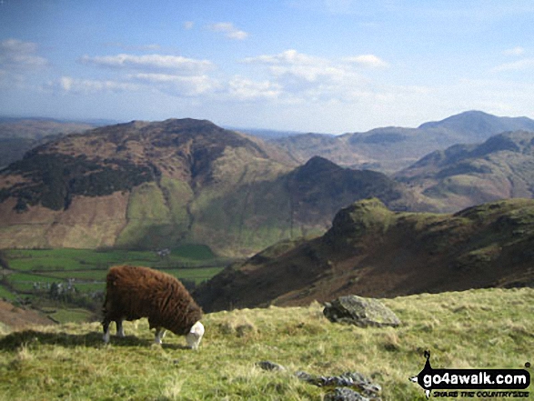 Walk c208 Harrison Stickle and High Raise from The New Dungeon Ghyll, Great Langdale - Looking across Great Langdale to Side Pike and Lingmoor Fell from Stickle Ghyll, The Langdale Pikes