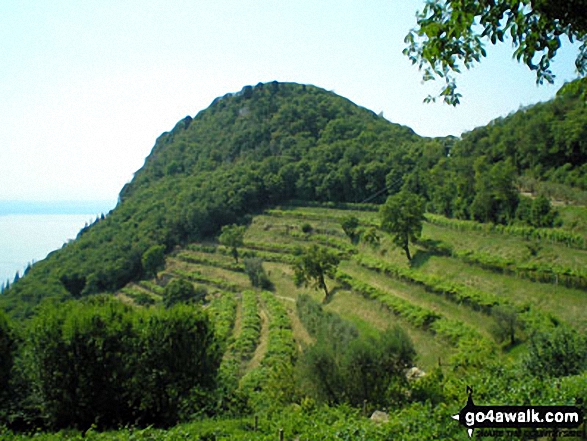 Rocca Vecchia, Lago di Garda (Lake Garda) 