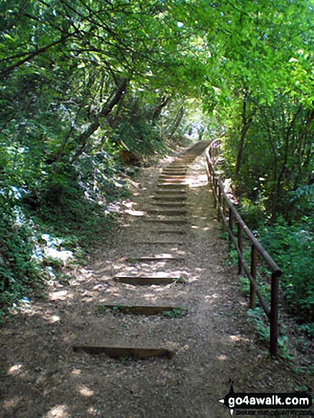 Path to Madonna del Pigna, Garda, Lago di Garda (Lake Garda) 