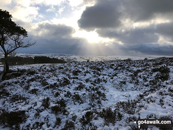 Walk s135 Revidge and Upper Elkstone from Butterton - The view from a snowy Revidge