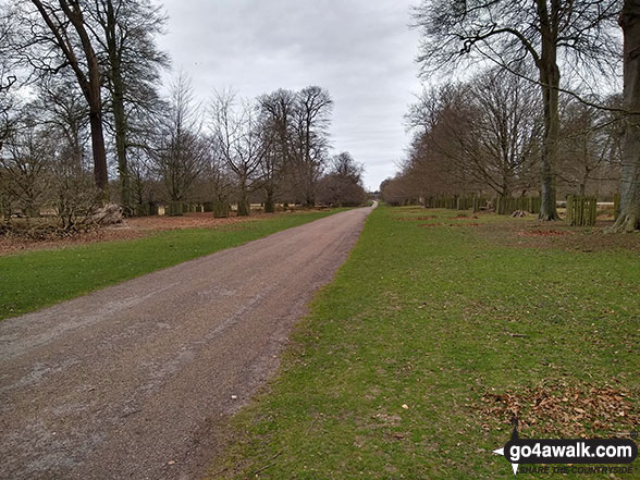 Walk gm101 The Bridgewater Canal from Dunham Town - Dunham Massey