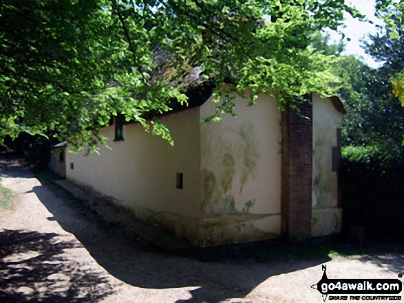 Thomas Hardy's birthplace (rear) in Higher Bockhampton 