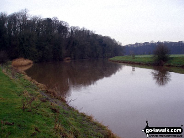 Walk ch139 The Weaver Navigation from Pickerings Lock - The Weaver Navigation