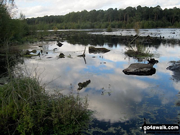 Walk ch129 Hangingstone Hill (Eddisbury Hill) from Barns Bridge Gates, Hatchmere - Blakemere Moss, Delamere Forest