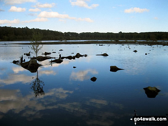 Walk ch129 Hangingstone Hill (Eddisbury Hill) from Barns Bridge Gates, Hatchmere - Blakemere Moss, Delamere Forest