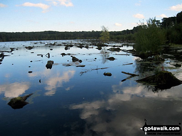 Walk ch129 Hangingstone Hill (Eddisbury Hill) from Barns Bridge Gates, Hatchmere - Blakemere Moss, Delamere Forest