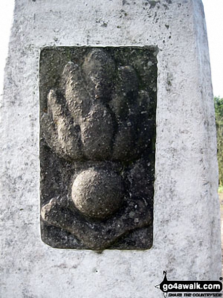 Walk ch136 Raw Head, Bickerton Hill and The Sandstone Trail from Duckington - Detail on Raw Head (Rawhead) Trig Point