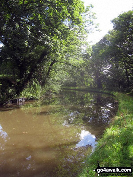 Walk ch181 The Trent and Mersey Canal from Little Leigh - The Trent and Mersey Canal