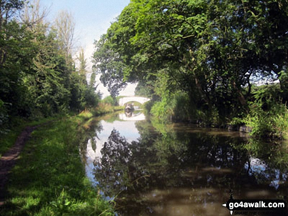 Walk ch184 The Trent and Mersey Canal and Anderton Boat Lift from Marbury Park Country Park - The Trent and Mersey Canal