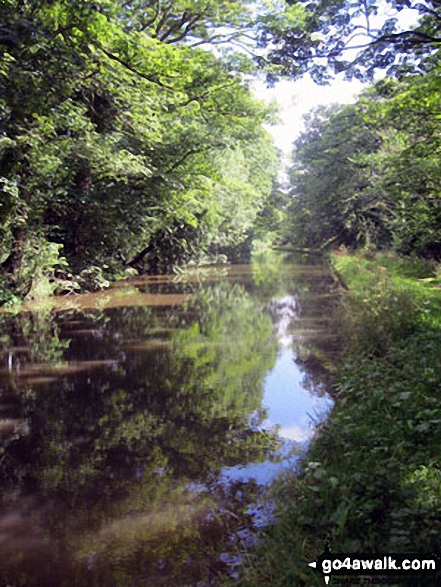 Walk ch181 The Trent and Mersey Canal from Little Leigh - The Trent and Mersey Canal