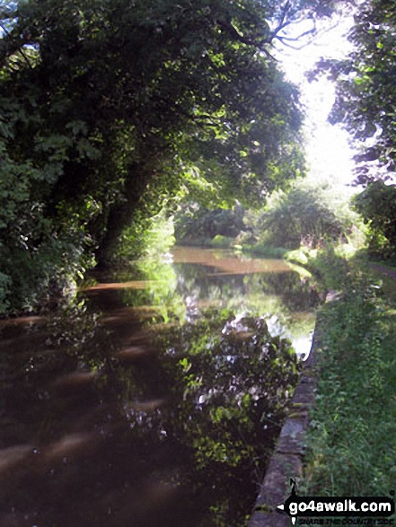 The Trent and Mersey Canal 