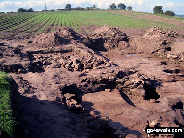 Walk ch129 Hangingstone Hill (Eddisbury Hill) from Barns Bridge Gates, Hatchmere - Eddisbury Hill Fort Excavations