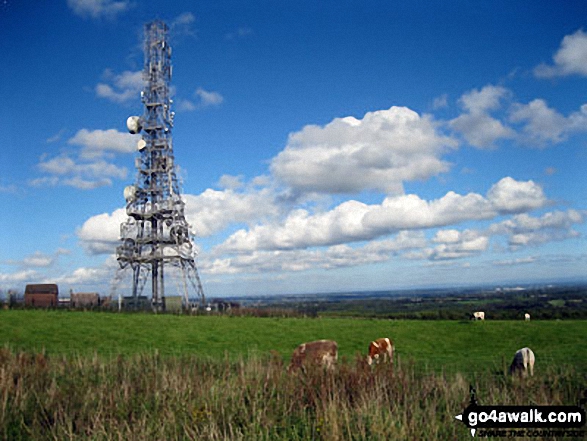 Walk ch129 Hangingstone Hill (Eddisbury Hill) from Barns Bridge Gates, Hatchmere - Communications Mast on the top of Hangingstone Hill (Eddisbury Hill)