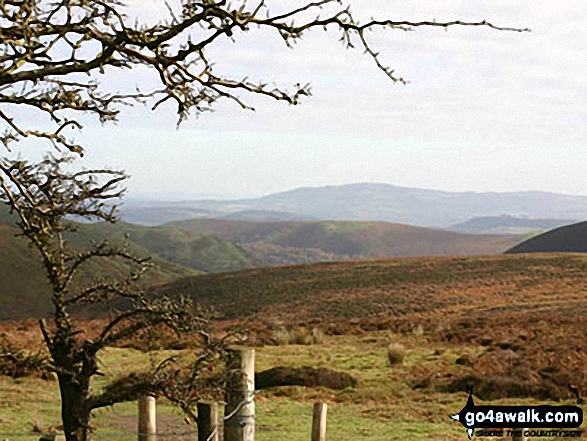 Church Stretton from Pole Bank (Long Mynd)