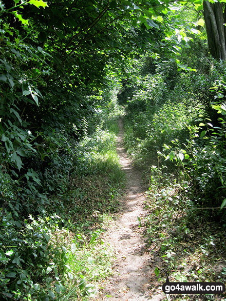 Walk ny139 Lastingham from Hutton-le-Hole - The footpath by Hagg Wood near Lastingham