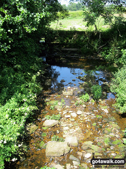 Ing Beck near Lower Askew 