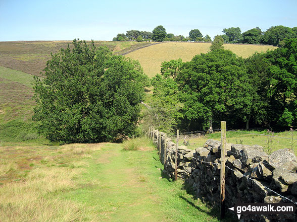 Walk ny139 Lastingham from Hutton-le-Hole - The path near Mary Magdalene Well, Lastingham