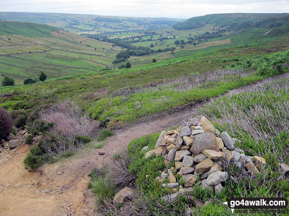 Walk ny201 Rudland Rigg and Farndale Nature Reserve from Low Mill - Ferndale from the cairn at West Gill Head on Rudland Rigg