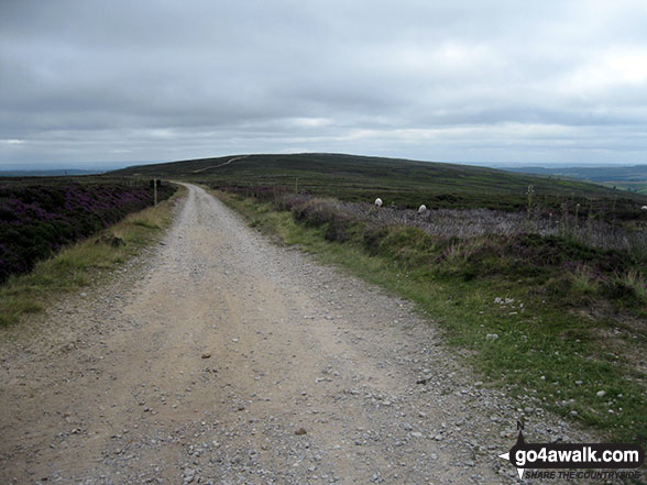 Walk ny201 Rudland Rigg and Farndale Nature Reserve from Low Mill - Westside Road (Track) on Rudland Rigg