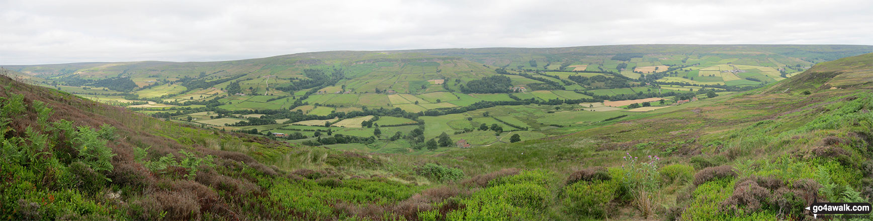 Walk ny201 Rudland Rigg and Farndale Nature Reserve from Low Mill - Ferndale from Rudland Rigg