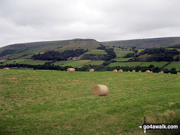 High Blakey Moor from Church Houses 