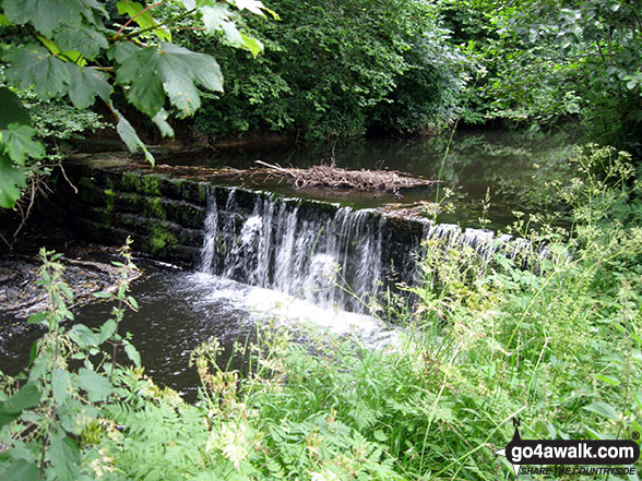 Walk ny201 Rudland Rigg and Farndale Nature Reserve from Low Mill - The River Dove in Ferndale Nature Reserve