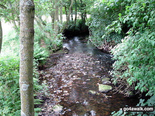 The River Dove in Ferndale Nature Reserve 