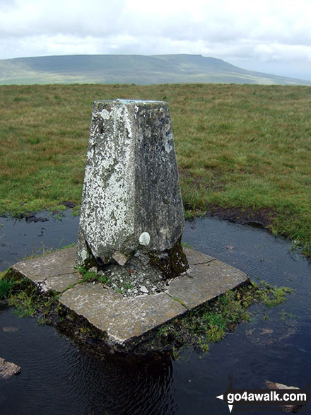 The OS Trig Point on the top of Fan Gyhirych