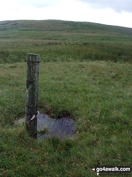 Walk po124 Fan Nedd and Fan Gyhirych from Maen Llia - Fan Fraith from the track SE of Fan Gyhirych