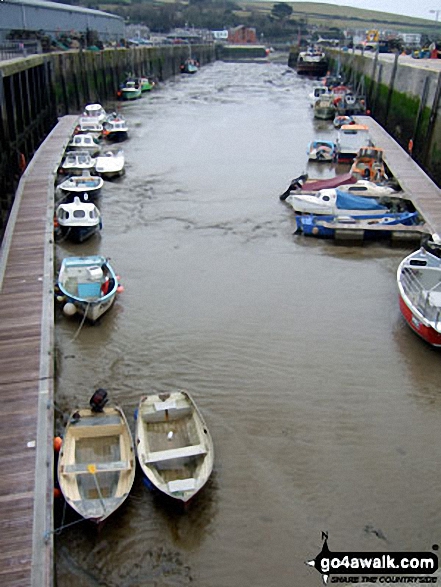 Walk co151 Stepper Point from Padstow - Boats in Padstow Harbour