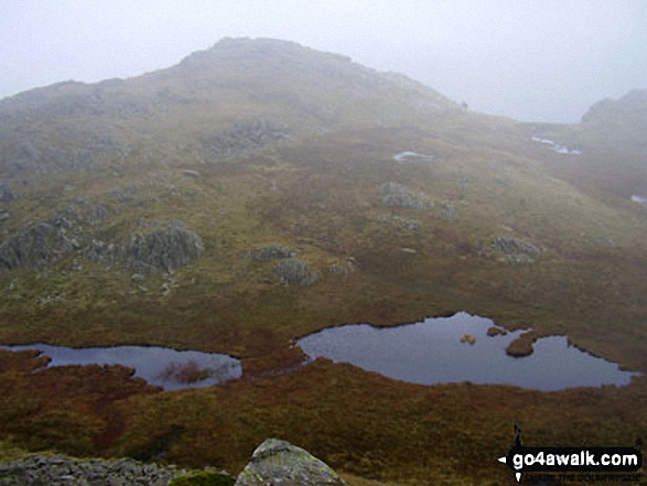 Walk c395 Glaramara, Allen Crags and Langstrath from Stonethwaite - Combe Door Top from Combe Head