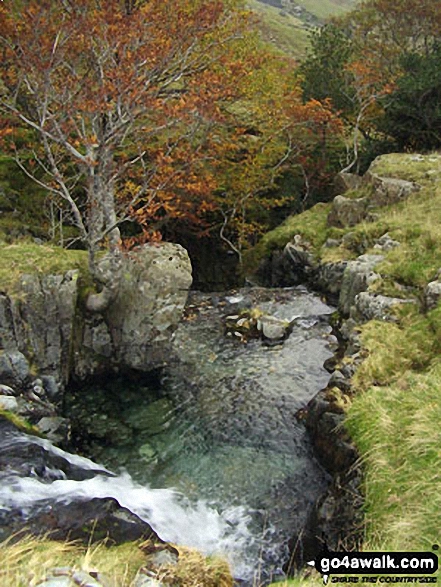 Walk c115 Langstrath Beck from Rosthwaite - Langstrath Beck in Langstrath