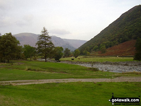 Walk c189 High Raise from Rosthwaite - The Stonethwaite Valley South East of Stonethwaite