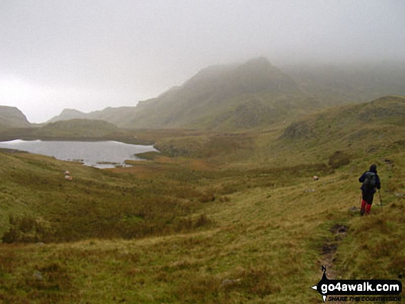 Walk c139 Allen Crags, Glaramara and Seathwaite Fell from Seatoller (Borrowdale) - Approaching Rosthwaite Cam (Rosthwaite Fell) and Tarn at Leaves from Rosthwaite Fell (Bessyboot)