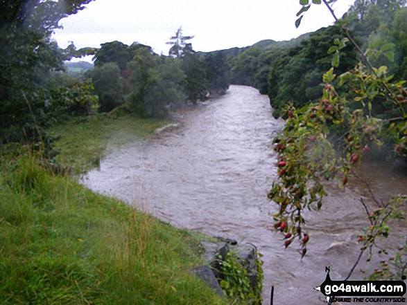 Walk du110 Collier Law from Frosterley - The River Wear in Weardale