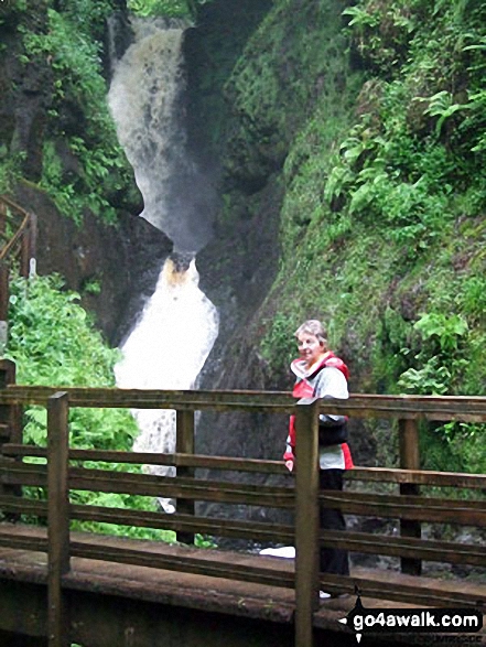 Walk at114 Glenariff Forest Park - Ess-na-Larach Waterfall, Glenariff Forest Park