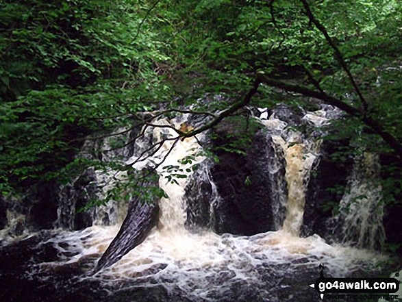 Walk at114 Glenariff Forest Park - Lower Falls, Glenariff Forest Park