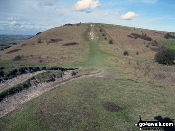 Walk bu141 Beacon Hill from Dagnall - Ivinghoe Beacon from The Ridgeway on Steps Hill